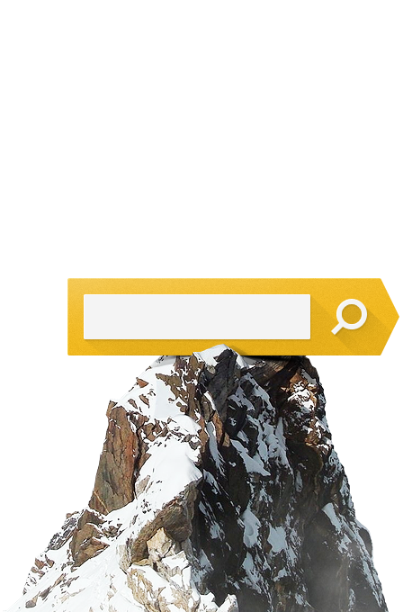 SEO продвижение сайтов Воронеж